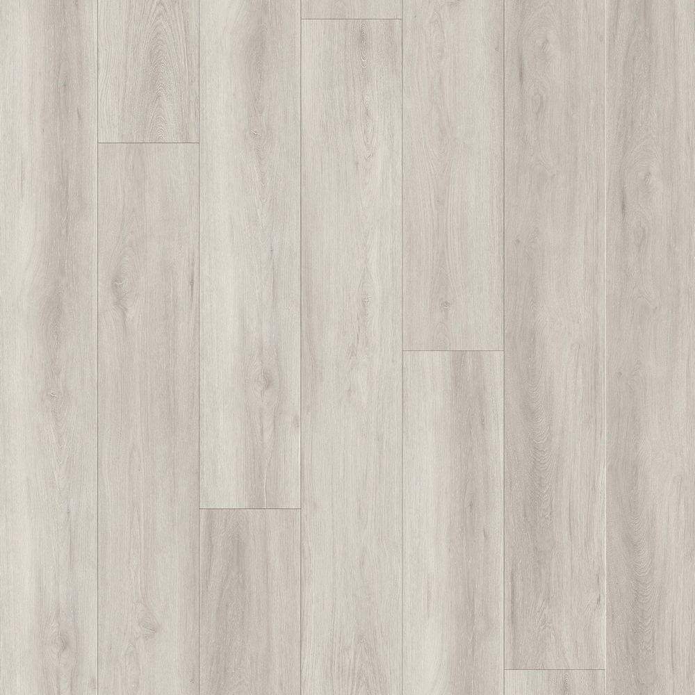 z Dove Grey Oak Lvt Accoustic